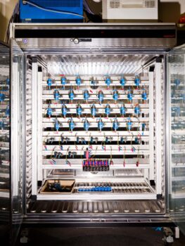 Research proposal simba 05 image